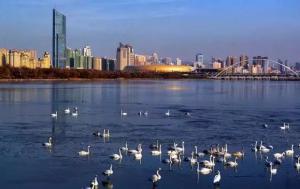 三門峽又一網(wǎng)紅景點(diǎn)，確定不來(lái)pick一下？